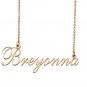 Custom Nameplate Necklace Personalized Jewelry Gifts for Women Breyonna