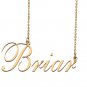 Custom Nameplate Necklace Personalized Jewelry Gifts for Women Briar