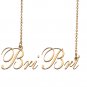 Custom Nameplate Necklace Personalized Jewelry Gifts for Women BriBri