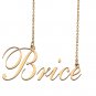 Custom Nameplate Necklace Personalized Jewelry Gifts for Women Brice