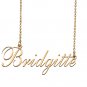 Custom Nameplate Necklace Personalized Jewelry Gifts for Women Bridgitte
