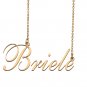Custom Nameplate Necklace Personalized Jewelry Gifts for Women Briele