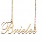 Custom Nameplate Necklace Personalized Jewelry Gifts for Women Brielee