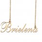 Custom Nameplate Necklace Personalized Jewelry Gifts for Women Brielena