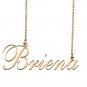Custom Nameplate Necklace Personalized Jewelry Gifts for Women Briena
