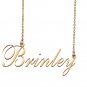 Custom Nameplate Necklace Personalized Jewelry Gifts for Women Brinley
