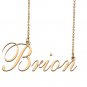 Custom Nameplate Necklace Personalized Jewelry Gifts for Women Brion