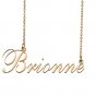 Custom Nameplate Necklace Personalized Jewelry Gifts for Women Brionne