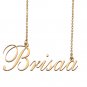 Custom Nameplate Necklace Personalized Jewelry Gifts for Women Brisaa