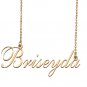 Custom Nameplate Necklace Personalized Jewelry Gifts for Women Briseyda