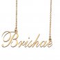 Custom Nameplate Necklace Personalized Jewelry Gifts for Women Brishae