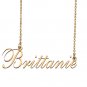 Custom Nameplate Necklace Personalized Jewelry Gifts for Women Brittanie