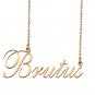 Custom Nameplate Necklace Personalized Jewelry Gifts for Women Brutus