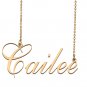 Custom Nameplate Necklace Personalized Jewelry Gifts for Women Cailee