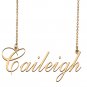 Custom Nameplate Necklace Personalized Jewelry Gifts for Women Caileigh