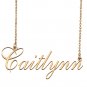 Custom Nameplate Necklace Personalized Jewelry Gifts for Women Caitlynn