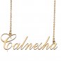 Custom Nameplate Necklace Personalized Jewelry Gifts for Women Calnesha