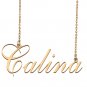 Custom Made Dainty My Name Necklace Best Friendship Jewelry Gifts for Her Caralynn
