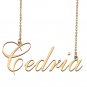 Custom Made Dainty My Name Necklace Best Friendship Jewelry Gifts for Her Cedria