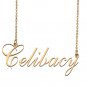 Custom Made Dainty My Name Necklace Best Friendship Jewelry Gifts for Her Celibacy