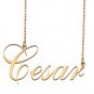 Custom Made Dainty My Name Necklace Best Friendship Jewelry Gifts for Her Cesar
