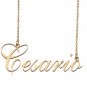 Custom Made Dainty My Name Necklace Best Friendship Jewelry Gifts for Her Cesario