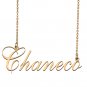 Custom Made Dainty My Name Necklace Best Friendship Jewelry Gifts for Her Chaneco