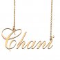 Custom Made Dainty My Name Necklace Best Friendship Jewelry Gifts for Her Chani