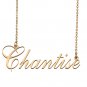 Custom Made Dainty My Name Necklace Best Friendship Jewelry Gifts for Her Chantise