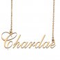 Custom Made Dainty My Name Necklace Best Friendship Jewelry Gifts for Her Chardae
