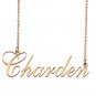 Custom Made Dainty My Name Necklace Best Friendship Jewelry Gifts for Her Charden