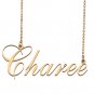 Custom Made Dainty My Name Necklace Best Friendship Jewelry Gifts for Her Charee