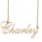 Custom Made Dainty My Name Necklace Best Friendship Jewelry Gifts for Her Charley
