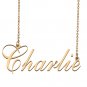 Custom Made Dainty My Name Necklace Best Friendship Jewelry Gifts for Her Charlie
