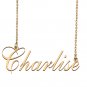 Custom Made Dainty My Name Necklace Best Friendship Jewelry Gifts for Her Charlise