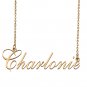 Custom Made Dainty My Name Necklace Best Friendship Jewelry Gifts for Her Charlonie