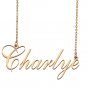 Custom Made Dainty My Name Necklace Best Friendship Jewelry Gifts for Her Charlye