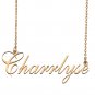 Custom Made Dainty My Name Necklace Best Friendship Jewelry Gifts for Her Charrlyse