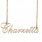 Custom Made Dainty My Name Necklace Best Friendship Jewelry Gifts for Her Charzetta