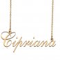 Custom Made Dainty My Name Necklace Best Friendship Jewelry Gifts for Her Cipriana