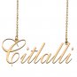 Custom Made Dainty My Name Necklace Best Friendship Jewelry Gifts for Her Citlalli