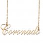 Custom Made Dainty My Name Necklace Best Friendship Jewelry Gifts for Her Coronado