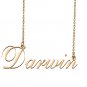 Personalized Any Name Necklace Charm Jewelry for Mother New Mom Darwin