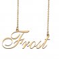 Custom Name Necklace Awesome Gift for My Best Friend Frost