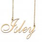 Personalized My Name Necklace Dainty personal Initial Necklace Isley