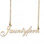 Customized Custom Script Name Necklace for Women Jauntyfern