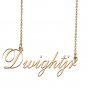 Customized Name Necklace 18K Gold Plated Jewelry Gift for Girlfriend for Her Kandy