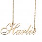 Personalized Stainless Steel Name Necklace Jewelry for Womens Leaah