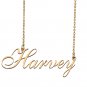 Personalized Stainless Steel Name Necklace Jewelry for Womens Leena