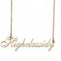 Personalized Custom 18k Gold Plated Any Name Necklace for Women Lex
